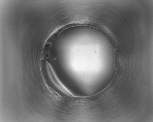 X0000052970532200508051017