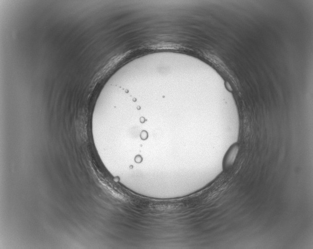 X0000052970533200508051017