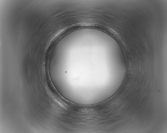 X0000052970535200508051017