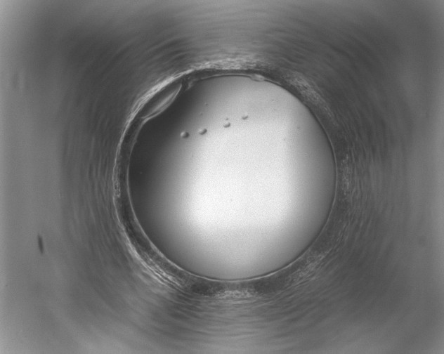 X0000052970536200508051017