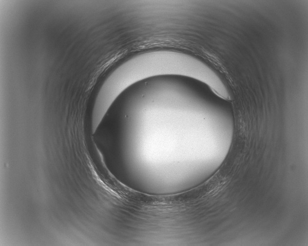 X0000052970538200508051017