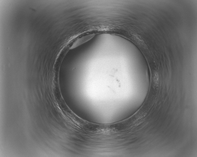 X0000052970540200508051017