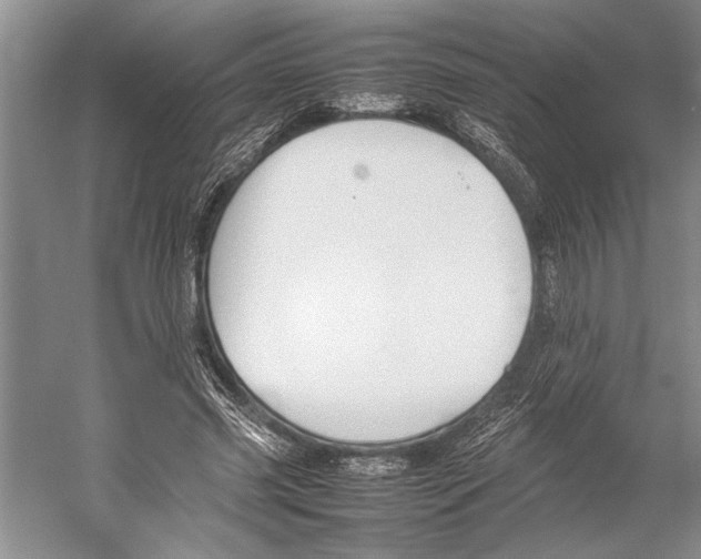 X0000052970541200508051017