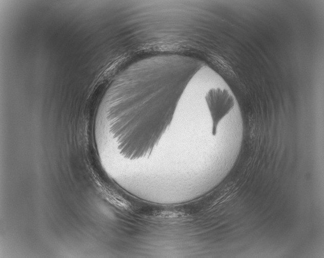 X0000052970542200508051017