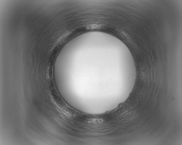 X0000052970543200508051017