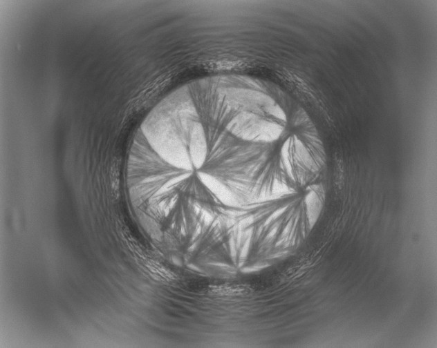 X0000052970545200508051017