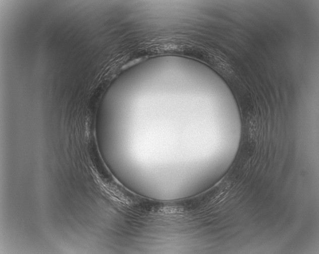 X0000052970546200508051017