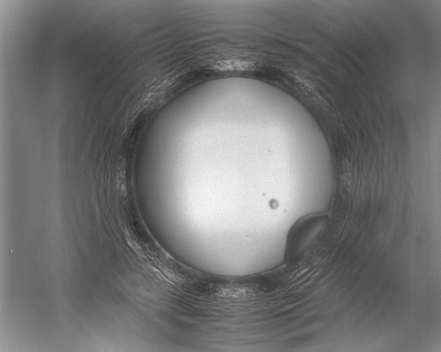 X0000052970547200508051017