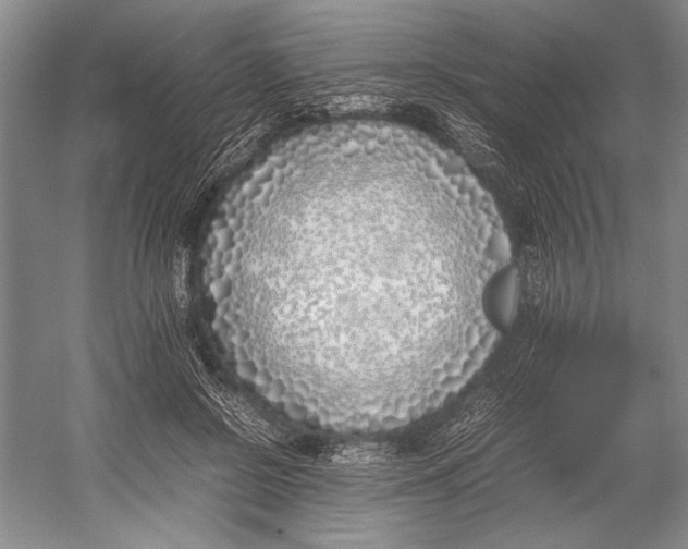 X0000052970550200508051017