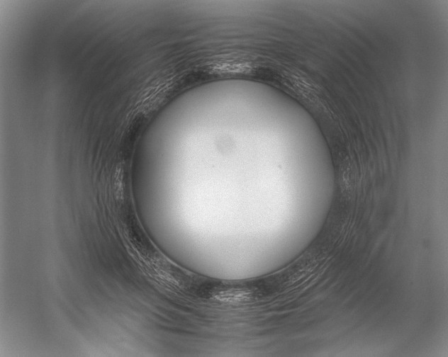 X0000052970551200508051017