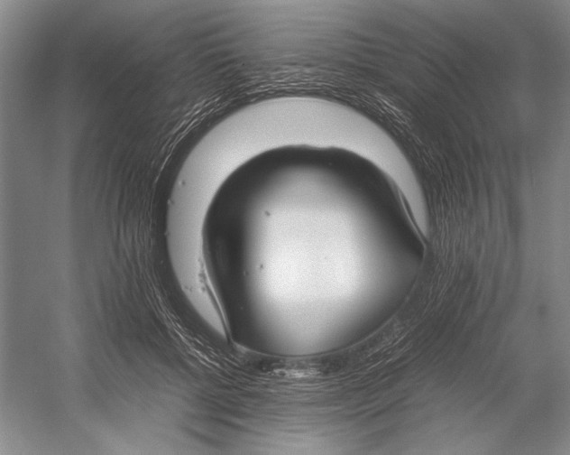 X0000052970552200508051017