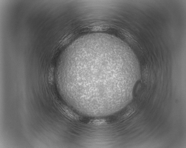 X0000052970554200508051017