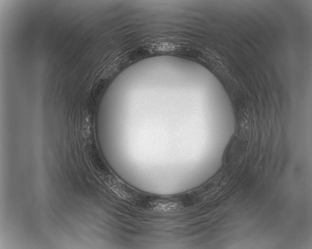 X0000052970555200508051017