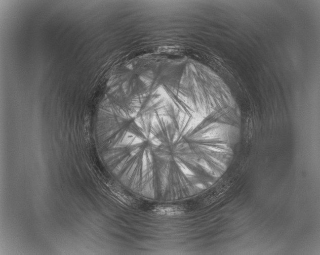 X0000052970557200508051017