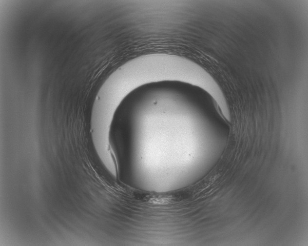 X0000052970560200508051017