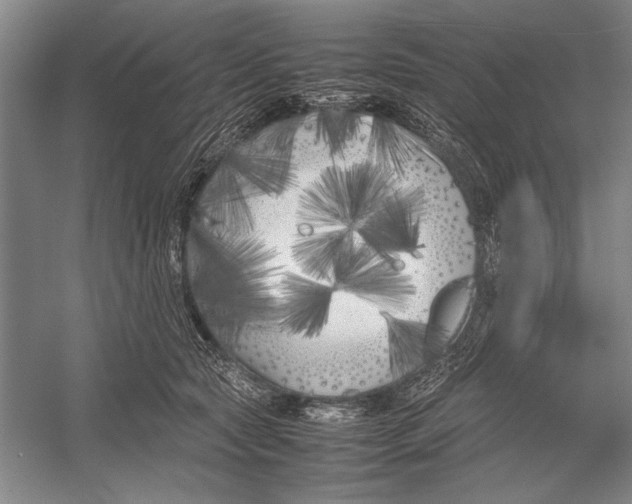 X0000052970561200508051017