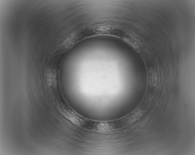 X0000052970562200508051017