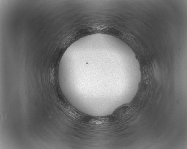 X0000052970563200508051017