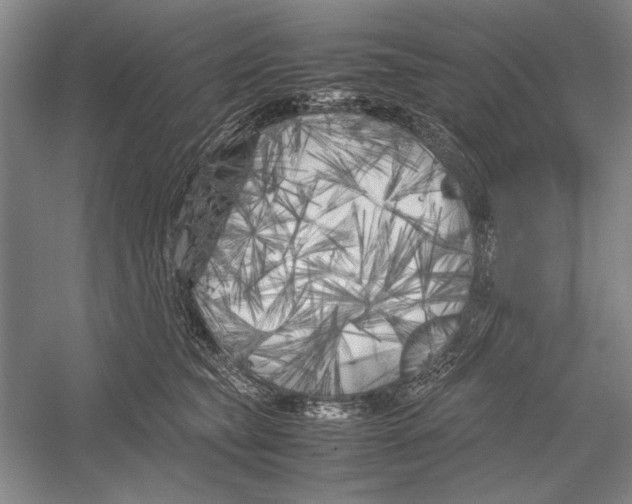 X0000052970565200508051017