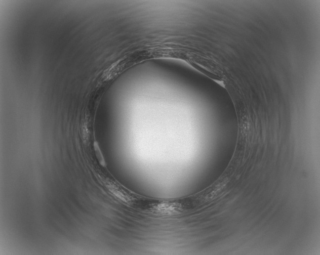 X0000052970566200508051017