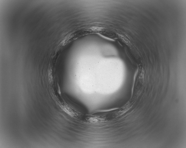 X0000052970568200508051018