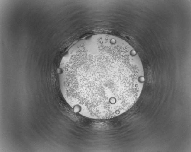 X0000052970569200508051018