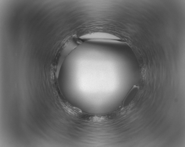 X0000052970570200508051018