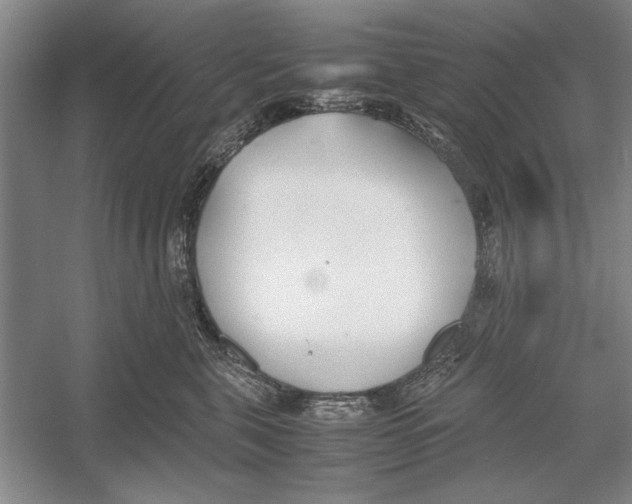 X0000052970571200508051018