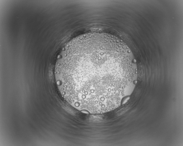 X0000052970573200508051018