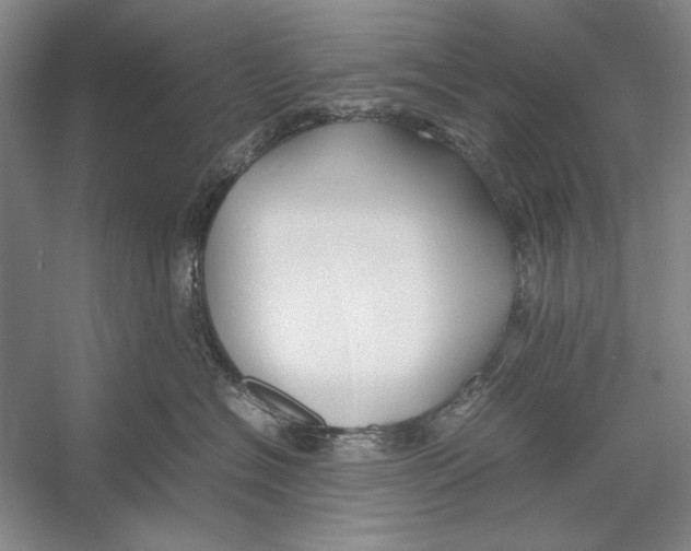 X0000052970574200508051018