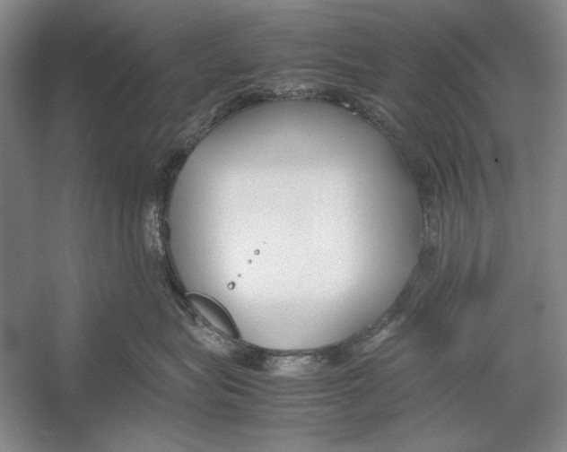 X0000052970575200508051018