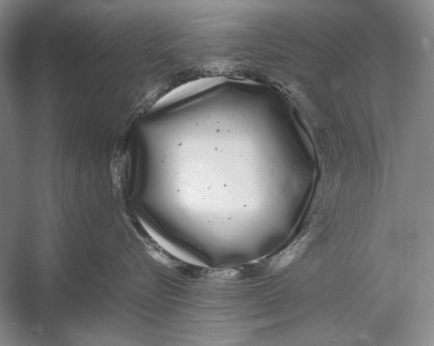 X0000052970576200508051018