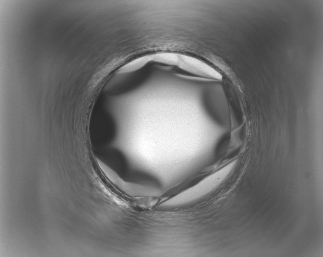 X0000052970577200508051017