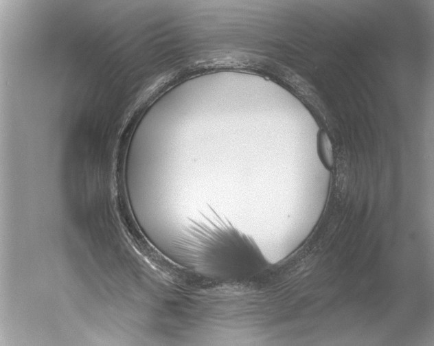 X0000052970578200508051017