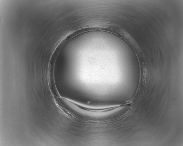 X0000052970580200508051017