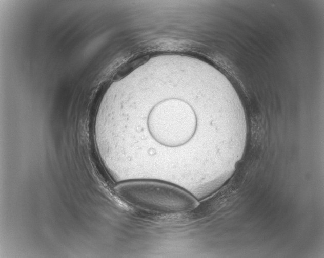 X0000052970581200508051017