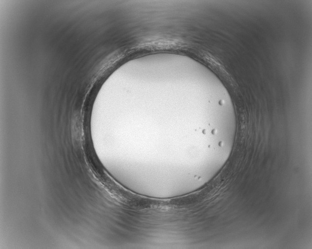 X0000052970582200508051017