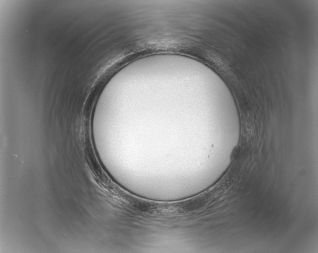 X0000052970583200508051017