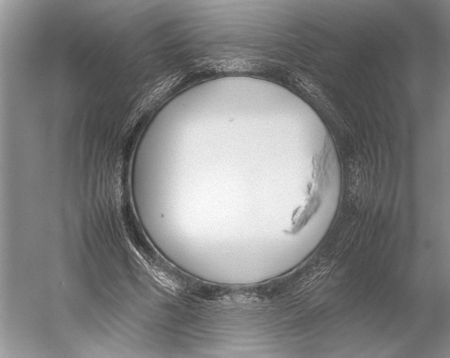 X0000052970586200508051017