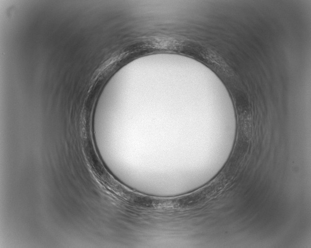 X0000052970587200508051017