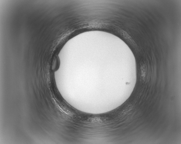 X0000052970588200508051017