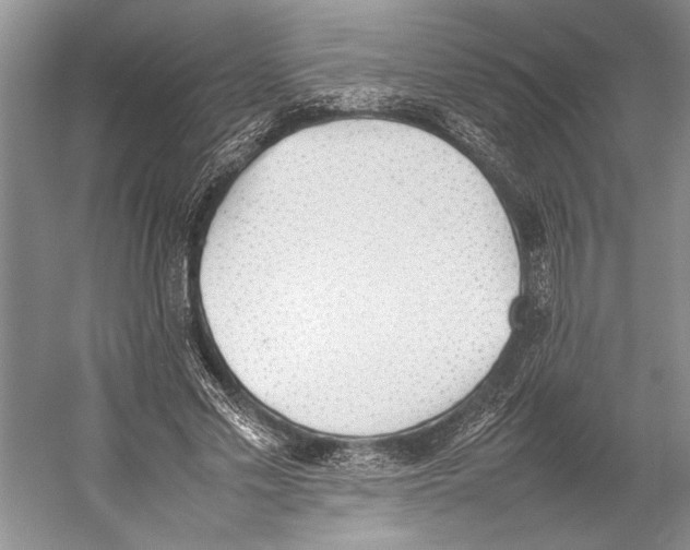 X0000052970589200508051017