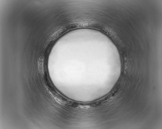 X0000052970590200508051017