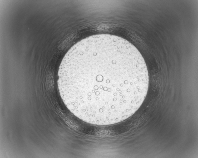 X0000052970593200508051017