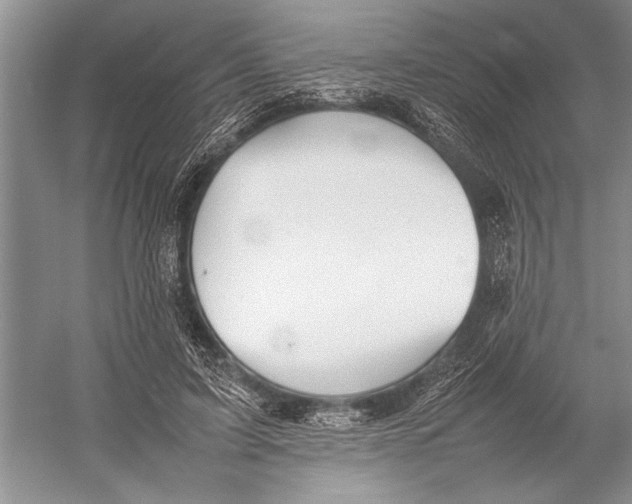 X0000052970595200508051017