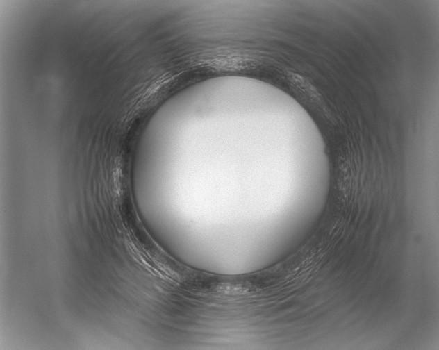 X0000052970596200508051017