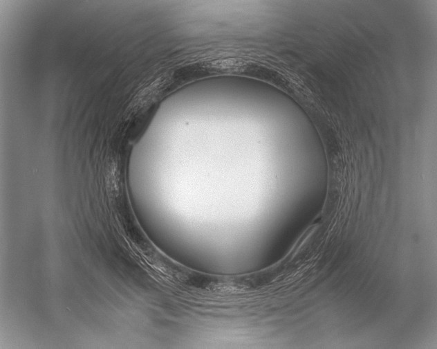 X0000052970597200508051016