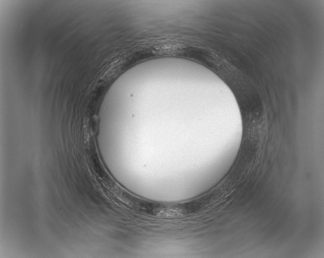 X0000052970599200508051016