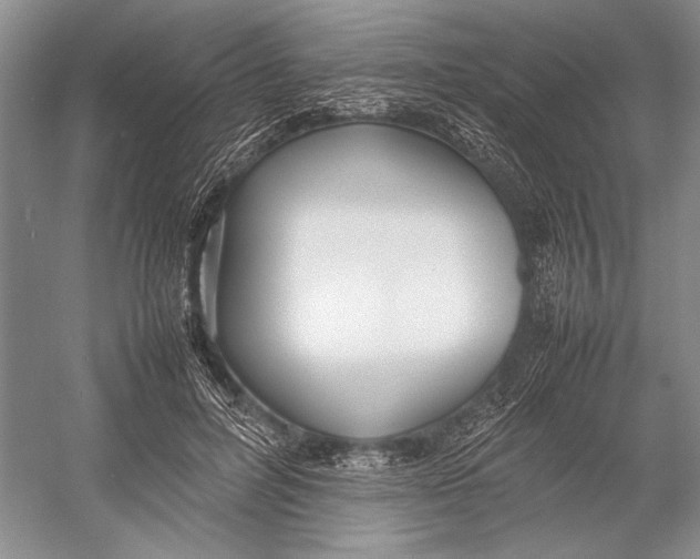 X0000052970600200508051016