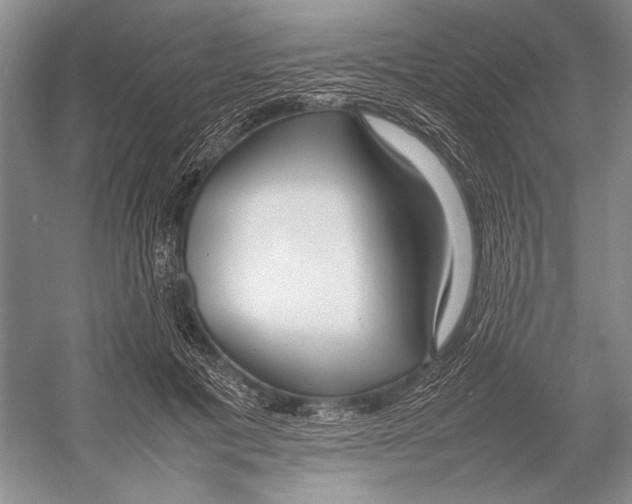 X0000052970601200508051016